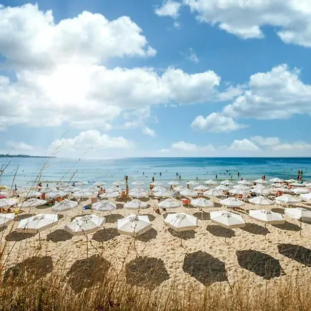 Harmony Grand 16 Private 214 * Sunny Beach